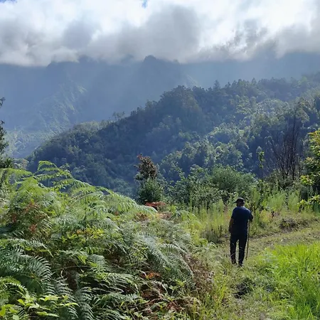 Vista Romantica Madeira * Arco da Calheta