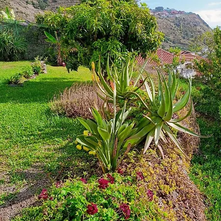 Vista Romantica Madeira Apartament Arco da Calheta (Madeira)