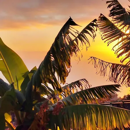 Apartament Vista Romantica Madeira *