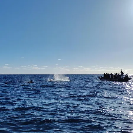 Vista Romantica Madeira