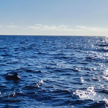 Vista Romantica Madeira Appartement Arco da Calheta (Madeira)