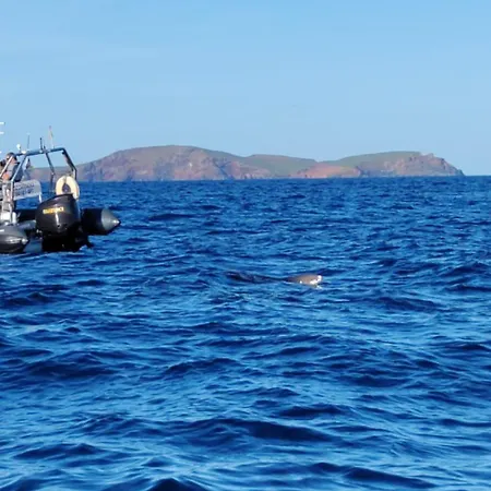 Apartament Vista Romantica Madeira