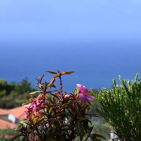 Vista Romantica Madeira ארקו דה קלחטה