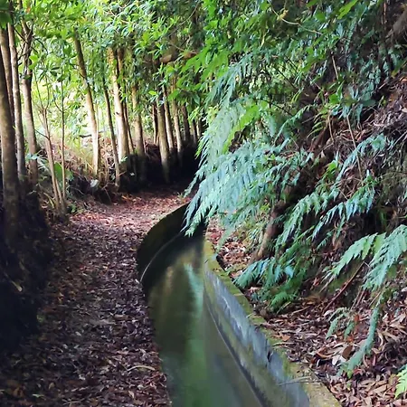 Vista Romantica Madeira Apartament *