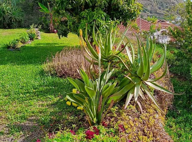 Vista Romantica Madeira Apartmán Arco da Calheta (Madeira)