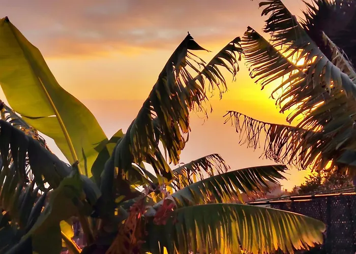 Apartmán Vista Romantica Madeira *