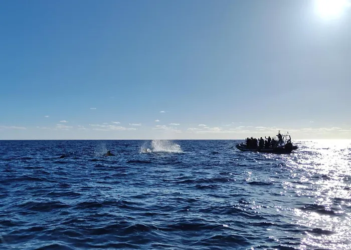 Vista Romantica Madeira