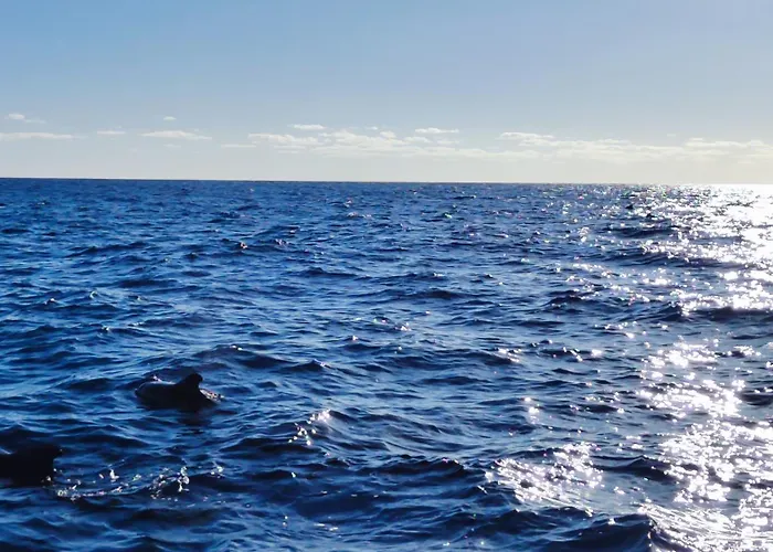 Vista Romantica Madeira Apartmán Arco da Calheta (Madeira)