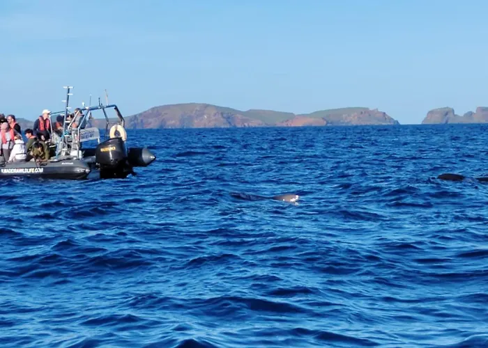 Apartmán Vista Romantica Madeira