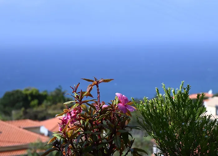 Vista Romantica Madeira Arco da Calheta (Madeira)