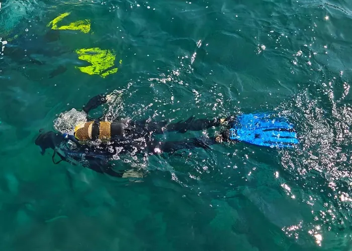 Apartmán Vista Romantica Madeira *